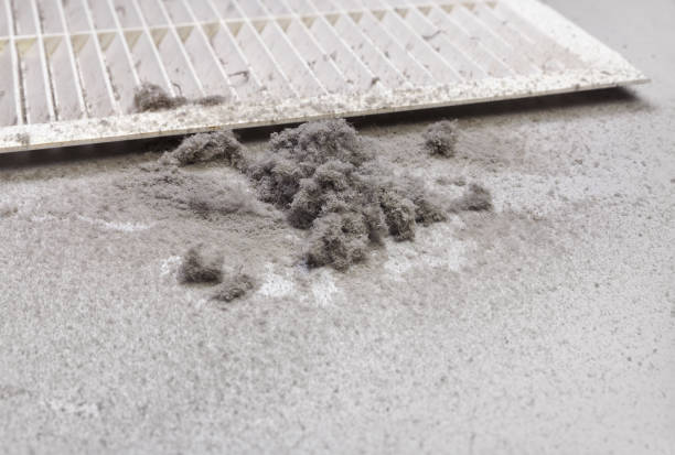Best Air Duct Cleaning Near Me  in Osgood, IN