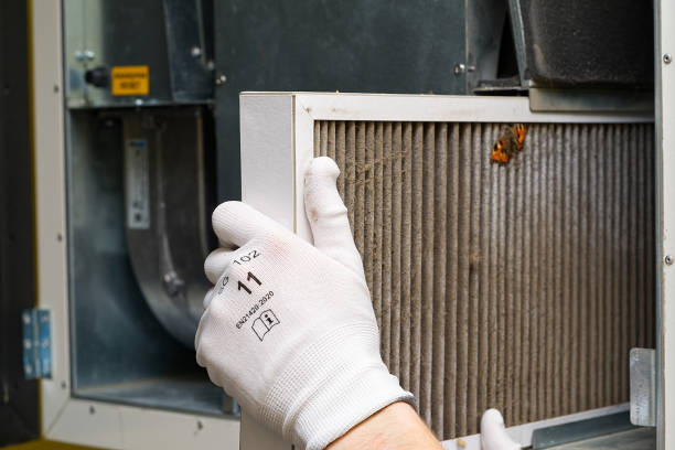 Best Affordable Duct Cleaning Services  in Osgood, IN